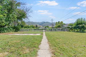 Backyard View