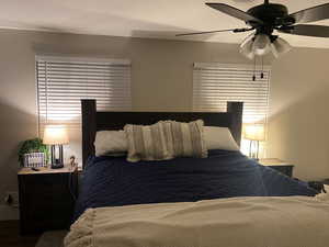 Bedroom with ceiling fan