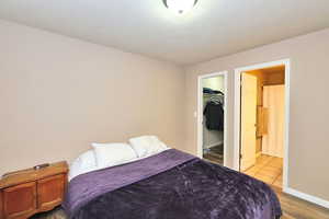 Bedroom with a walk in closet, hardwood / wood-style flooring, and a closet