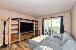 Living room featuring wood-type flooring