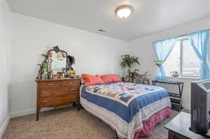 carpeted bedroom