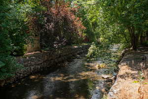 Stream access and view from backyard