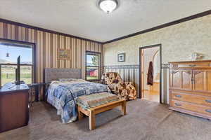 Carpeted bedroom with ensuite bathroom and ornamental molding