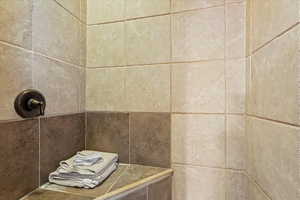 Details with a tile shower