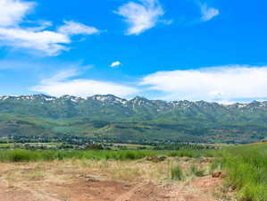 Dirt Road leads to future build site. Flat building site with views.