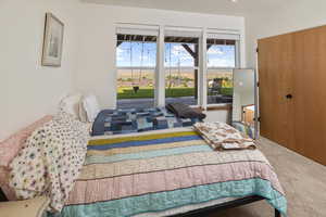 Bedroom featuring multiple windows and carpet