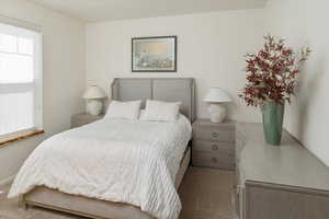 Bedroom with carpet flooring