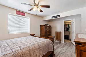 Bedroom featuring a spacious closet, light hardwood / wood-style flooring, a closet, multiple windows, and ceiling fan