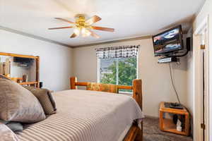 Bedroom featuring ceiling fan, carpet flooring, and ornamental molding