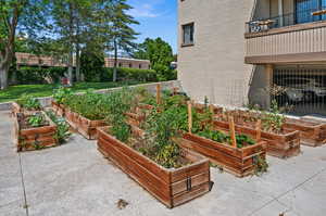 Community Garden