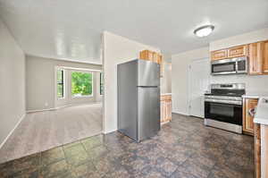 Kitchen featuring stainless steel appliances, dark carpet, and a textured ceiling