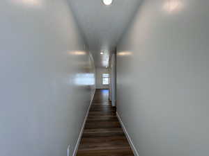 Entry hall with hardwood / wood-style flooring