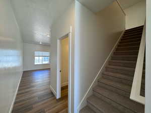 Stairs featuring a carpet and hardwood / wood-style floors