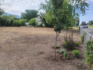 View of yard facing south