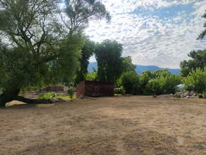 View of yard, dad's shed, featuring a mountain view