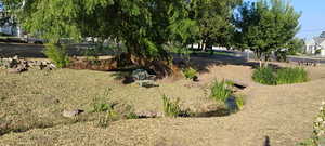 View of yard and stream facing west