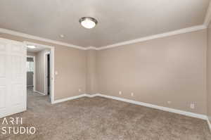 Carpeted spare room with ornamental molding