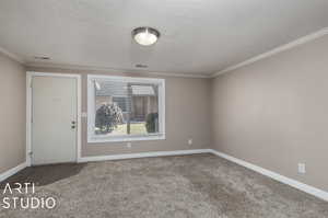 Spare room featuring carpet flooring, crown molding, and a textured ceiling