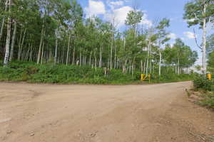 View of street