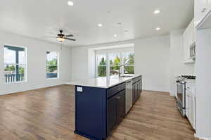 Kitchen featuring white cabinetry, ceiling fan, light wood-type flooring, sink, and appliances with stainless steel finishes