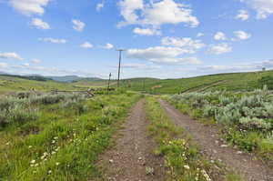 View of road featuring a rural view