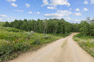 View of road