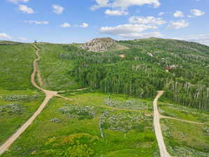 Aerial view with a mountain view