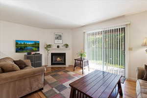 Living room featuring plenty of natural light and wood-type flooring