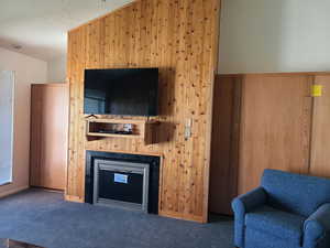 Fireplace, Twin Murphy bed, Queen Murphy bed folded up