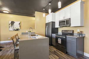 Kitchen with track lighting, stainless steel appliances, sink, white cabinetry, and dark hardwood / wood-style flooring