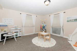 Recreation room featuring carpet floors