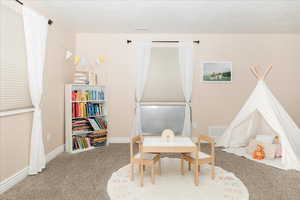 Playroom with carpet flooring