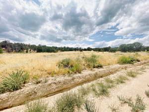 Facing Property from the road