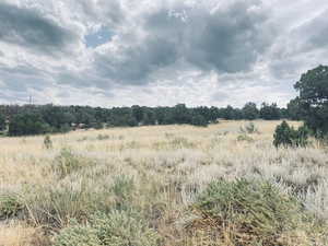 View of property from the road