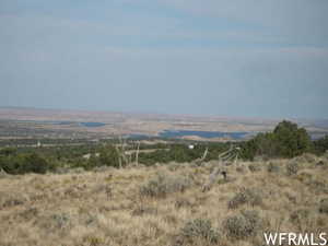 View from the top of property