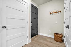 Foyer entrance with light hardwood / wood-style flooring