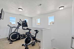 Workout / sitting area featuring plenty of natural light, a textured ceiling, and light colored carpet