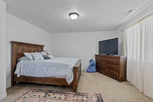 Carpeted bedroom featuring a textured ceiling