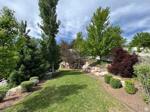 The back yard has tons of mature trees and plants that add to the ambiance of this beautiful home with its terraced yard, cascading water fountain and swimming pool.