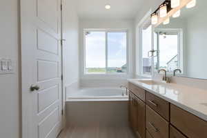 Bathroom featuring vanity and a bathing tub