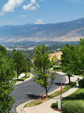 View of Bountiful from the Kichen window