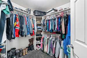 Walk in closet with carpet