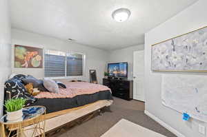 Carpeted bedroom featuring a textured ceiling