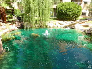 View of pond/stream from main patio