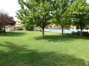 View from adjoining Tamarack condos of park and tennis/pickleball courts