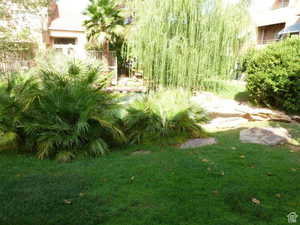 View of pond from patio 2