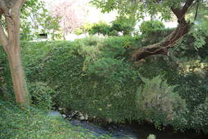 View from deck of small creek running alongside building