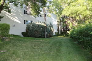 Side yard area and trees