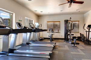 Gym with carpet flooring and ceiling fan