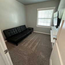 Living area with dark carpet